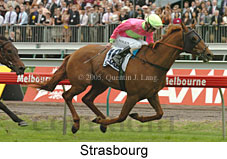 Strasbourg (21625 bytes)