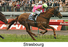 Strasbourg (21625 bytes)