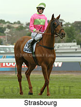 Strasbourg (21625 bytes)