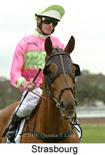 Strasbourg (21625 bytes)