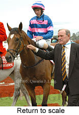 Return to scale (17769 bytes)