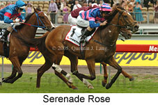 Serenade Rose (21625 bytes)