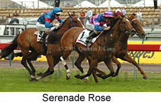 Serenade Rose (21625 bytes)