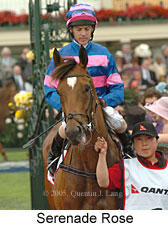 Serenade Rose (21625 bytes)