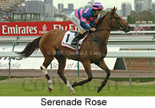 Serenade Rose (21625 bytes)