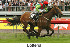 Lotteria (21625 bytes)