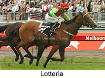 Lotteria (21625 bytes)