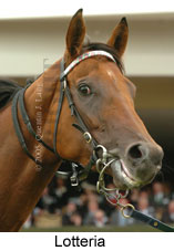 Lotteria (21625 bytes)