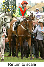 Return to scale (17769 bytes)