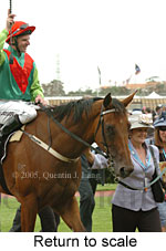 Return to scale (17769 bytes)