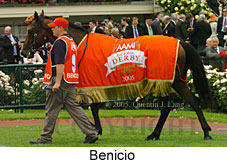 Benicio (21625 bytes)