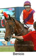 Benicio (21625 bytes)