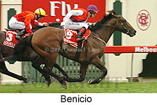 Benicio (21625 bytes)