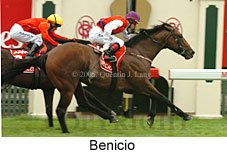 Benicio (21625 bytes)