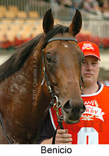 Benicio (21625 bytes)