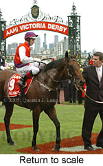 Return to scale (17769 bytes)