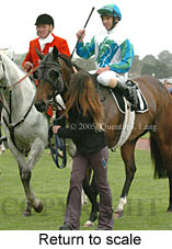 Return to scale (17769 bytes)