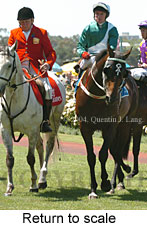 Return to scale (17769 bytes)