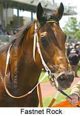 Fastnet Rock (21625 bytes)