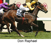 Don Raphael (21625 bytes)