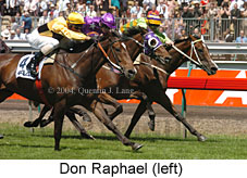 Don Raphael (21625 bytes)