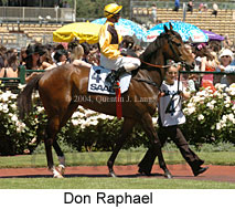 Don Raphael (21625 bytes)