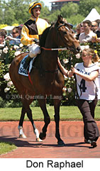 Don Raphael (21625 bytes)