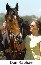 Don Raphael (21625 bytes)