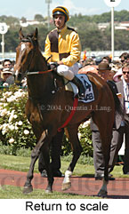 Return to scale (17769 bytes)