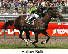 Hollow Bullet (21625 bytes)