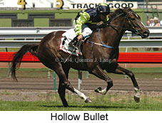 Hollow Bullet (21625 bytes)