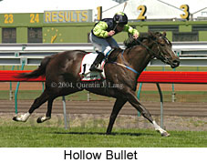 Hollow Bullet (21625 bytes)