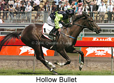 Hollow Bullet (21625 bytes)