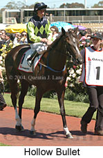 Hollow Bullet (21625 bytes)