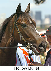 Hollow Bullet (21625 bytes)