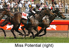 Miss Potential (21625 bytes)