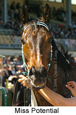 Miss Potential (21625 bytes)