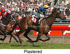 Plastered (17076 bytes)