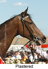 Plastered (13417 bytes)