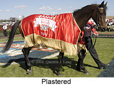 Plastered (17892 bytes)