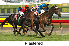 Plastered (17475 bytes)