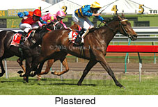 Plastered (17482 bytes)