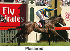 Plastered (19064 bytes)