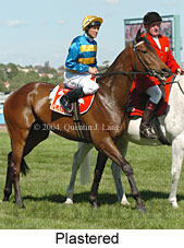 Plastered (17136 bytes)