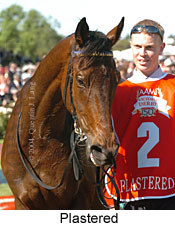 Plastered (17487 bytes)