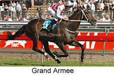 Grand Armee (21625 bytes)