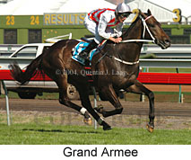 Grand Armee (21625 bytes)