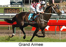 Grand Armee (21625 bytes)