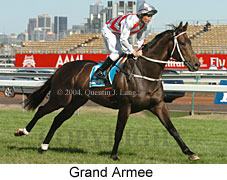 Grand Armee (21625 bytes)