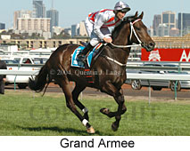 Grand Armee (21625 bytes)